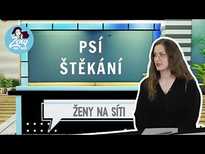 Obtěžuje vás štěkání psa? Veterinářka poradí, jak ho to odnaučit