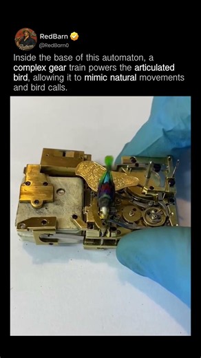 Inside a Singing Bird Automaton