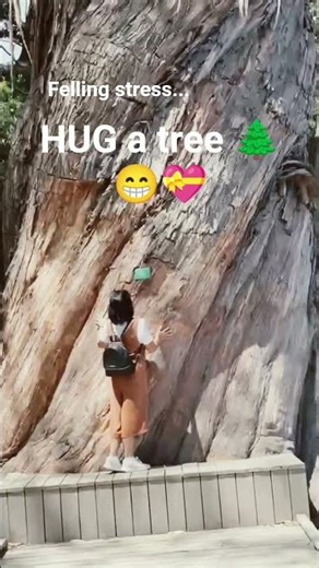 hug a tree🌲