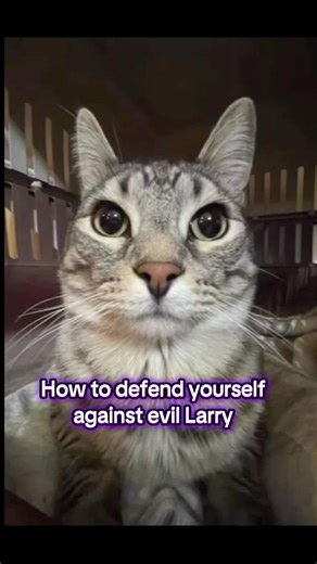 #Larry #Memes #Fyp #Foryoupage #Meme | larry