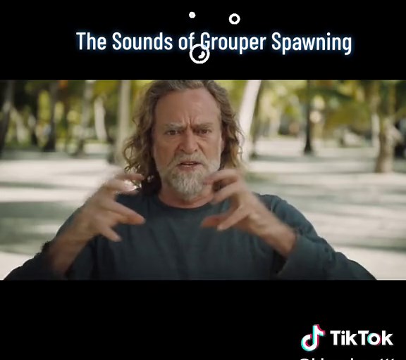 Grouper Spawning: Why This Fish Is So Expensive