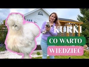 SILKY CHICKENS IN THE GARDEN - WHY THEM? WHAT YOU NEED TO KNOW