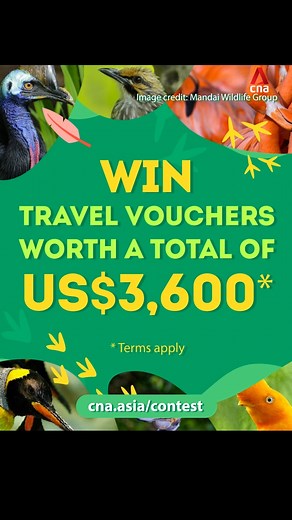 9.2K views · 22 reactions | 列 What bird are you? Take our quiz to find out and stand a chance to win travel vouchers worth more than US$1,000! Watch our documentary, The Great Migration: New Eden, to see how 3,500 avian residents from Asia’s largest bird park were relocated to the new Bird Paradise. | CNA | Facebook