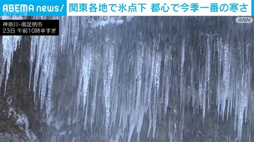 “自然の造形美”関東各地で氷点下 都心でも今季一番の寒さ