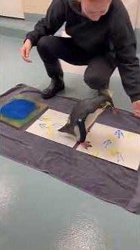 How penguin art is created