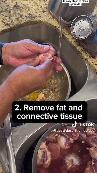 10 easy steps to clean a gizzard #farm #chicken #gizzards #fyp #tiktoker #trending #veteran #homestead #az #desert #bird #tiktok #capcut #homestead #poultry