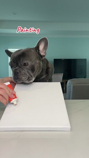 Apollo’s 2nd painting. Should we do more? #artist #artwork