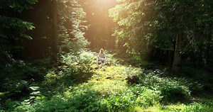 Young African Woman Practicing Yoga Meditation Exercise In Forest Nature