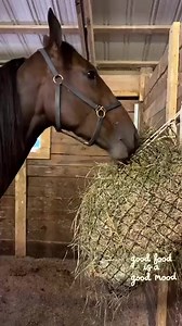 10M views · 10K reactions | A girl has gotta have options ‍♀️ Team #alagnaracing ‘s Hot Mess Express enjoying some lunch ahead of her $250,000 ISS Super Final @HoP_Racing tonight! #PlayHP via: https://twitter.com/HoP_Racing | Alagna Racing | Facebook