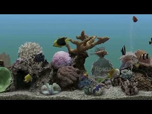 Roku Screensaver Aquarium Roku city