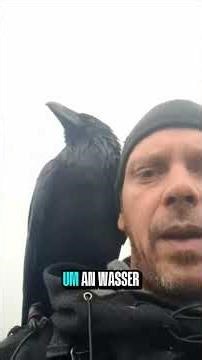 Dieser Rabe bringt dir Geld zurück