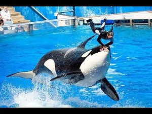 5 Most Terrifying Fatal Zoo Animal Attacks