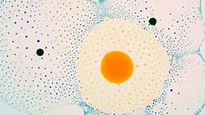 Marangoni Effect Phenomenon Biological Research Scientific 库存影片视频（100% 免版税）1048669696 | Shutterstock