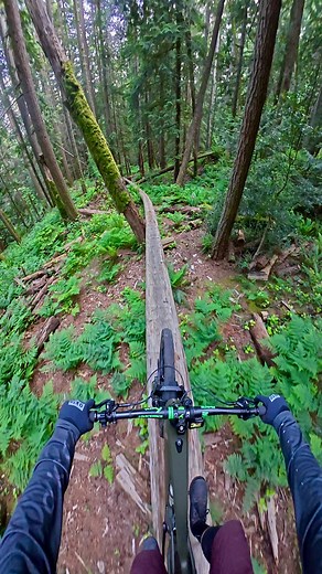 515 reactions · 6 comments | Possibly the most beautiful log ride I’ve ever ridden . On my Transition Repeater⚡️ Trail: Electric Banana • @transitionbikes @noblwheels @vorsprungsuspension @schwalbetires @akta_mtb @lewisbike_official @dunbarcycles @rndm.company • #mountainbiking #northshore #logride | Dean Tennant | Facebook