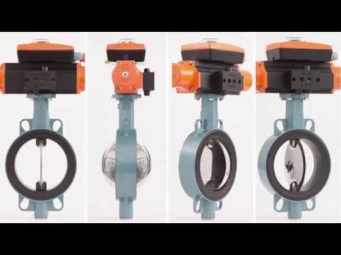 EBRO Armaturen Resilient Seated Butterfly Seat & Seal Replacement