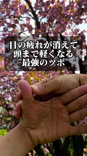 目の疲れにはツボ押し‼️ ＃眼精疲労 ＃疲れ目 ＃自律神経