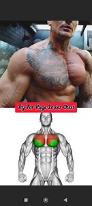 Lower Chest Destroyer Workout 💥 Build Power, Shape & Strength Fast 📝 Description: If you want a powerful, well-defined lower chest that stands out in every T-shirt, this workout is for you. From Elevated Push-Ups to Barbell Pause Decline Bench Press, these exercises are designed to hit your lower chest hard, build serious strength, and carve deep muscle lines. No shortcuts, no excuses — just real training for real results. 💪 Start now, stay consistent, and transform your chest. 👇 Have any qu