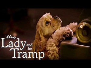 Lady And The Tramp - Live Action | Bella Notte (2019)