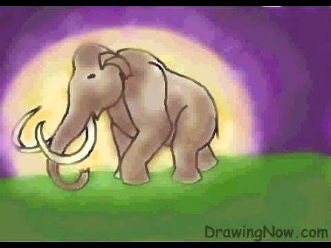 How to Draw Woolly Mammoth