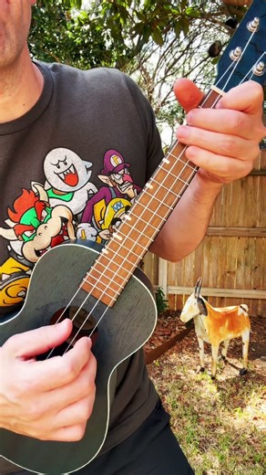 Super Mario World Theme! 👾🎶🐢🦖 #ukulele #supermarioworld #snes #nintendo #ukulelecover