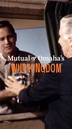 Revisit Mutual of Omaha's Wild Kingdom | Mutual of Omaha's Wild Kingdom
