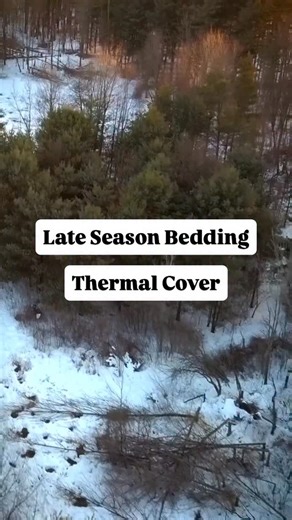 Jake Hendrickson | Whitetail Habitat & Land Specialist on Instagram: "As temperatures drop and winter tightens its grip, deer movement shifts dramatically. Food still drives evening patterns, but bedding comfort becomes just as important, especially for bucks trying to recover from the rut and survive the cold. This is when thermal cover bedding becomes one of the most valuable habitat features on any property. Thick stands of cedar, spruce, pine, or young conifer clusters create warm, sheltered