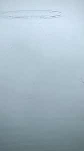 Our Gamakatsu USA, Inc. Worm 34R Hydroll is quickly becoming the #1 choice for a soft plastic jerkbait hook amongst our pro staff! The built in swivel helps eliminate line twist and gives helps the bait give off more action. #gamakatsuusa | Dean Rojas Pro Angler