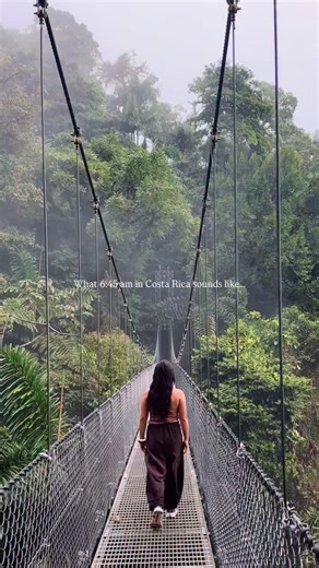 Ice Chairat | The rainforest’s heaviest band just went live 🦍 📍Místico Hanging Bridges, La Fortuna, Costa Rica 🇨🇷 | Instagram