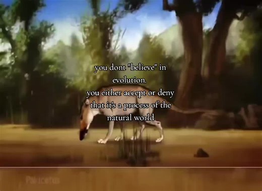 I ❤️ evolution #fypシ゚viral #fyp #science #evolution #atheist | evolution of human