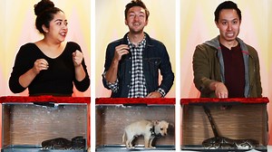 188K views · 515 reactions | Which one will they get? | BuzzFeed Video | Facebook