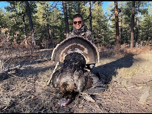 Successful New Mexico Spring Turkey Hunt 2021