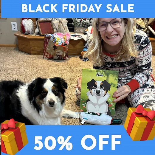 1.3K views |  Black Friday Sale 50% OFF   WE DRAW YOUR PET AS A CARTOON  Available as Printed Canvas & Digital Version. Order your Pettoon here: https://petcreationsart.com/products/personalised-custom-cartoon-pet-canvas  You provide the photo and let our artists do the rest  Speedy delivery in the US  | Pet Creations Art | Facebook