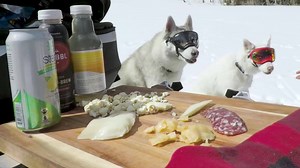 14 reactions | Ken Block lives an interesting life. One day he’s...