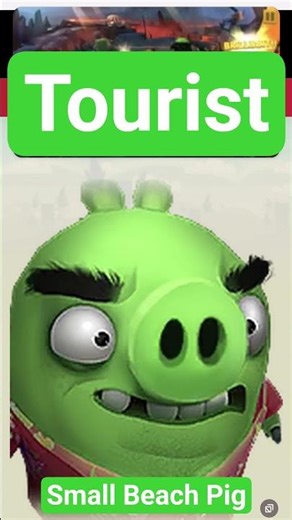 Angry Birds Evolution: Tourist