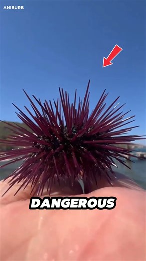 Deadly or Delicious? 💰