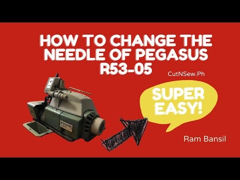 DIY | How to Change Needle of Pegasus R53-05 | Edger | Ram Bansil