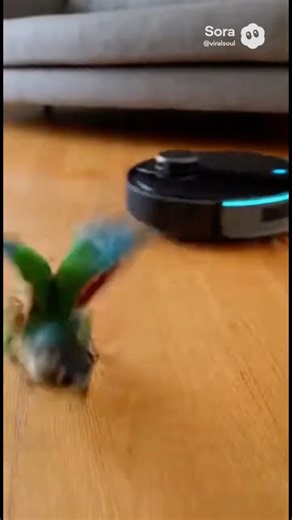 Alexa vs Parrot: The Robot Vacuum Attack!