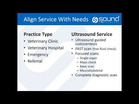 How to Incorporate Veterinary Ultrasound into The Practice