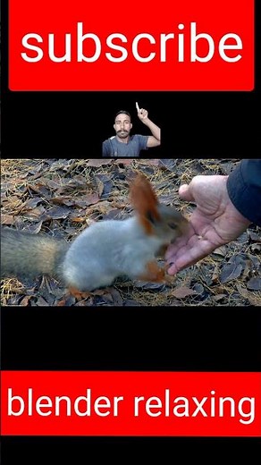 2021walking workout plan, 1.0 mile walk, 1.0 mile happy walk, walking workout, at home