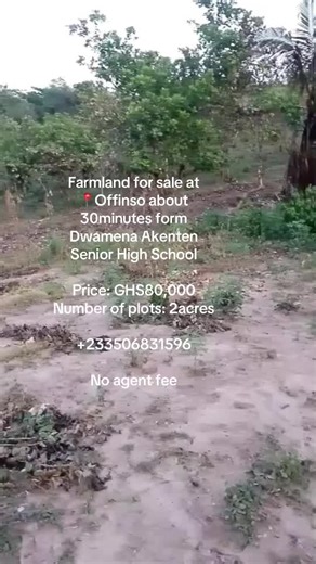 #farmland #affordable #creatorssearchinsights #affordableland #kumasi #landforsale