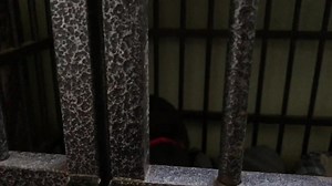 17 reactions | Rescuing the #underdogs we often seek help from The...