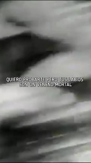 Alice Cooper Poison Lyrics Translation