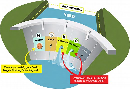 Liebig's Law of the Minimum