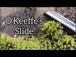 O'Keeffe's Slide - Harmonica (+Tabs)‪@CharlesHarrisonMusic‬