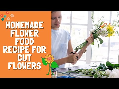 Homemade Flower Food Recipe for Cut Flowers
