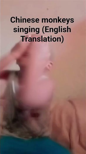 Chinese monkeys singing (English Translation (