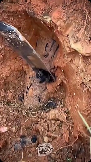 Memo Compilo on Instagram