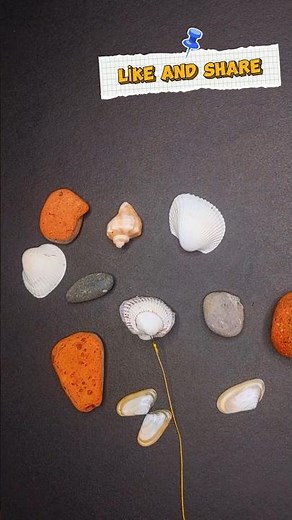 Don’t Buy Sinkers… I Made One From a Seashell! DIY Fishing Hack 🎣