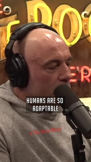 48K views · 893 reactions | Ancient Restart of Lost Civilization - Joe Rogan | Rogan Return | Facebook