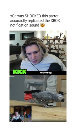 xQc Was SHOCKED At This Parrot Replicating XBOX Notification Sound 🤯